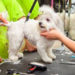 County Line Kennels Boarding & Grooming - Andrews, IN