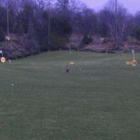 Dilisio Golf Range