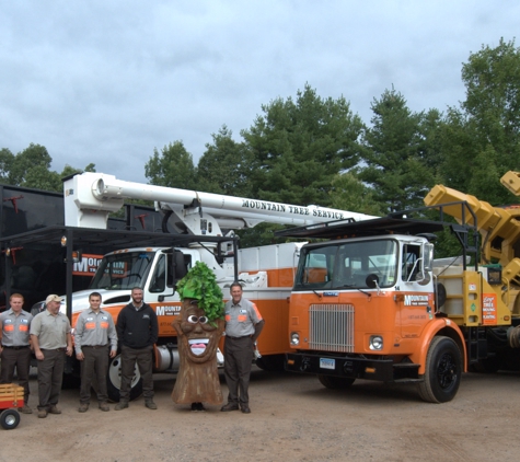 Mountain Tree Service - Somers, CT