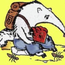 Explorer Pest Management - Pest Control Services