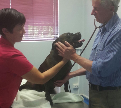 Armidale Veterinary Surgery - Armidale, NSW. Your pets are in great hands with Ron Raymer & Sonia Frost