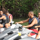 Island Safari Tours