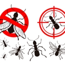 All American Pest Control Expert - Pest Control Services