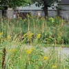 Lime Creek Nature Center gallery