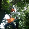 C.R Tree Service gallery