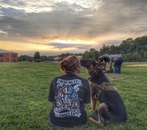 Albany Off Leash K9 Training - Menands, NY