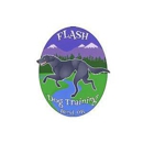 Flash Dog Training Bend Oregon - Pet Training