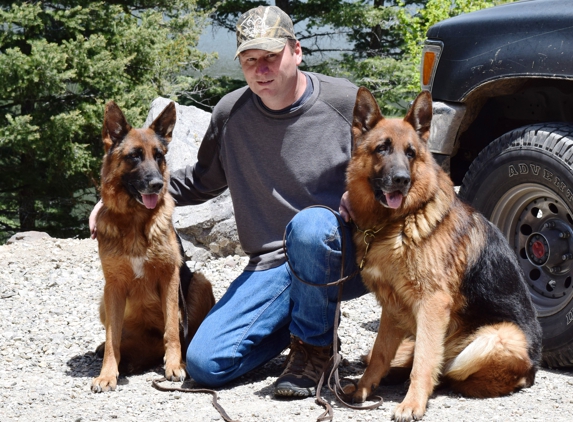 Von Der Otto German Shepherds - Rockwall, TX