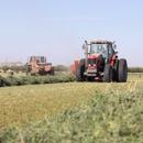 Farm Direct Hay - Cotton
