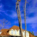 arbor tex - Tree Service