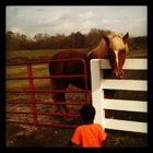 Bottoms Christmas Tree Farm