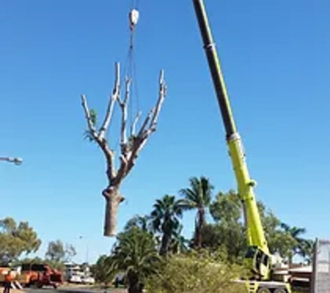 North West Tree Services