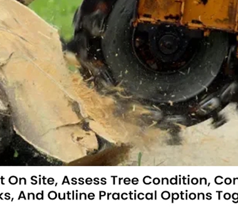 Safeguard Tree Services - Pakenham, VIC. We Meet On Site, Assess Tree Condition, Constraints & Risks, And Outline Practical Options Together