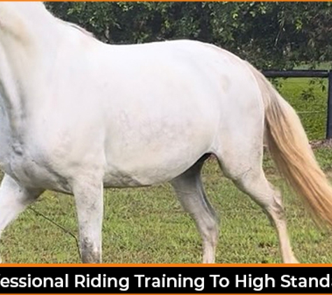 Bexland - Doonan, QLD. Professional Riding Training To High Standards