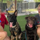 Alpha Dog Care - Dog Training