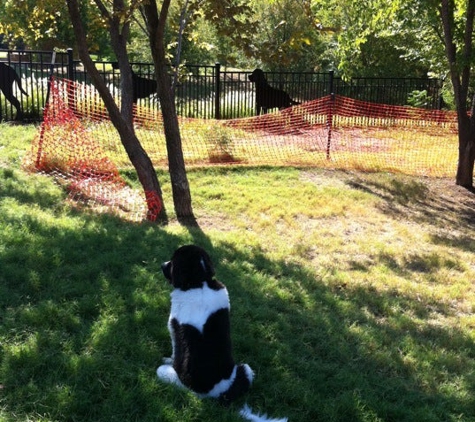 Wagging Tail Dog Park - Dallas, TX