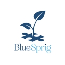 BlueSprig - Mental Health Services
