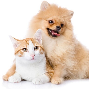 Family Pet Clinic - Tinley Park, IL