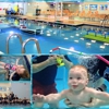 Little Flippers Swim School - Winchester gallery