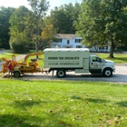 Premier Tree Specialists