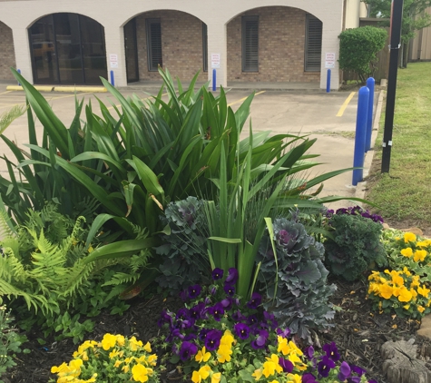 Scott L. Jones, DDS - Cleveland, TX. Front street view