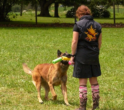 Elissa Cline Dog Training - Wilmington, OH