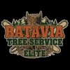 Batavia Tree Service Elite gallery