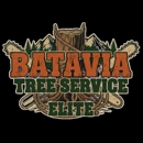 Batavia Tree Service Elite - Arborists