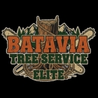 Batavia Tree Service Elite
