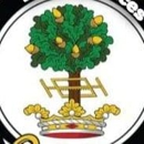 Royal Oak Tree Services - Tree Service
