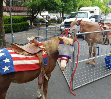 Ponies R US - Sonoma, CA. Ponies R Us, Sonoma, California
Bay Area's Premier pony ride service