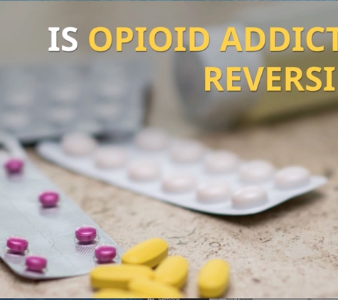 Michigan Addiction Center PLLC - All Opiates Detox - Wyandotte, MI