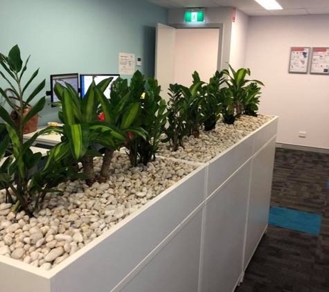 Jindalee Indoor Plant Service - Edgeworth, NSW