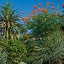 Eden Landscaping - Landscape Designers & Consultants