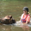 SJ Ranch Riding Camp gallery