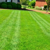 GrassRoots Lawn Specialists gallery