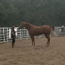 Double Header Performance Horses - Horse Boarding