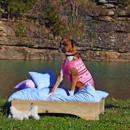 Mountain Air Organic Beds - Mattresses