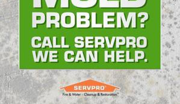 Servpro of Lodi - Lodi, CA