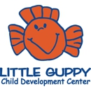 Little Guppy Child Development Center-St. Charles - Day Care Centers & Nurseries