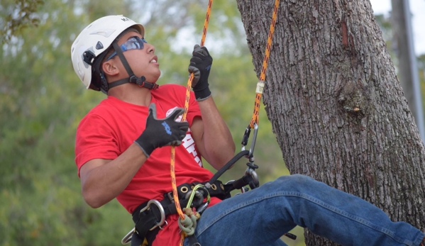 KDT Tree Service - Fern Park, FL