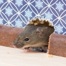 Eco Friendly Pest Control - Pest Control Services