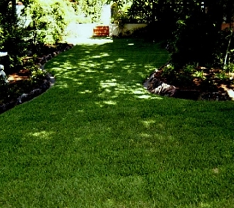Eastern Turf Traders Pty Ltd. Softness, Drought Tolerance & Wear Resistant