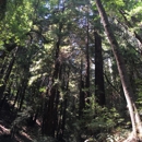 Wunderlich County Park - Parks