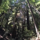 Wunderlich County Park