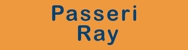 Ray Passeri - Road Signs & Line Marking