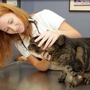 Princeton Animal Hospital & Carnegie Cat Clinic