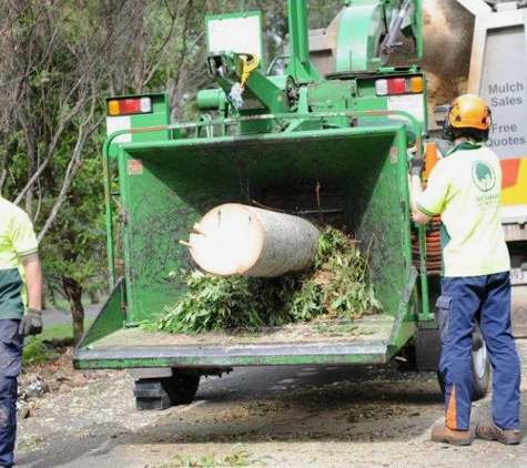 A Accurate Tree Services - Joyner, QLD