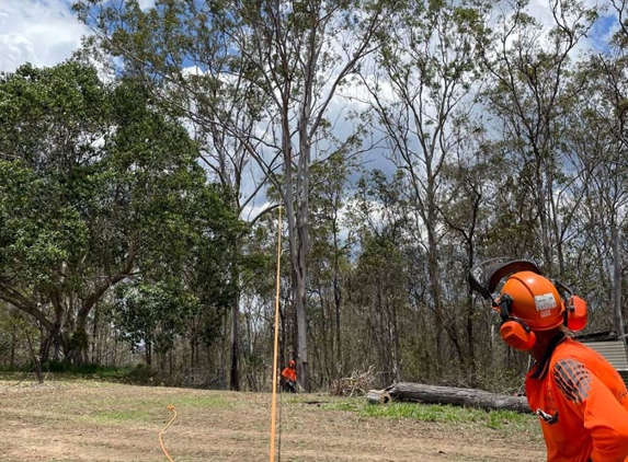 Speedline Tree Surgery