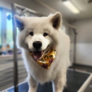 Fur Seasons Pet Resort & Spa - Pet Grooming